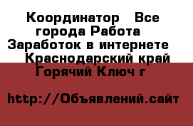 ONLINE Координатор - Все города Работа » Заработок в интернете   . Краснодарский край,Горячий Ключ г.